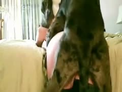 A lady is seen being dog fucked on video.